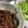 ちぼこ☆'s cooksnap of when they made ピーマンの肉味噌ディップ.