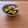 Etsu☆ko's cooksnap of when they made 四葉きゅうりの炒め物.