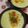 赤い電話's cooksnap of when they made シチューの素でちょこッとグラタン！.