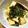 °＊maico＊°'s cooksnap of when they made カリッと香ばしい！厚揚げ豆腐のニラだれ.