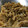 Remtan's cooksnap of when they made 節約&減塩☆手作り無添加なめ茸♫簡単です.