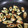 mantacarp's cooksnap of when they made 3分でもう1品　揚げないちくわの磯辺あげ.