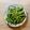かっぽん★'s cooksnap of when they made 枝豆の麻辣ペッパー炒め.
