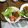 クックODMXA7☆'s cooksnap of when they made トンカツ用肉で♫オニオンポークチャップ.