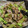 直感台所ʕ·ᴥ·ʔ's cooksnap of when they made 簡単！旨い！豚バラときゅうりの塩昆布炒め.