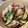 クックらっち☆'s cooksnap of when they made 【夏バテ予防】夏野菜の甘辛スタミナ丼.
