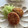 まじゅじゅ's cooksnap of when they made うちのコロッケ♡母の味編.