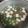 マキマキ913's cooksnap of when they made 豆腐とオクラのお味噌汁.