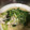 みみふぁん's cooksnap of when they made 簡単☆彡鯛の酒蒸し♪.