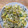 Phamvandon's cooksnap of when they made 基本のネギたまご炒飯.