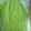 クック14KPFS☆'s cooksnap of when they made ジェノベーゼソース.