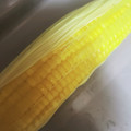 すまっぴい's cooksnap of when they made ★簡単★皮付きとうもろこし！レンジでチン.