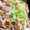 ゆゆっちゃ's cooksnap of when they made ＊簡単＊とろみのある◇野菜炒め＊.