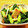 かなりんココりん's cooksnap of when they made 小松菜とお揚げさん、しめじの炒め物.