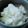 醤油☆世界一's cooksnap of when they made 超簡単なのに美味しい 冬瓜の浅漬け.