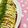 ☆★ひよこ★☆'s cooksnap of when they made ☆カットキャベツでお手軽とんぺい焼き♪.