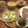忘れん坊の覚え書き's cooksnap of when they made 殻ごと冷凍！黄身がもちもち冷凍卵かけご飯.