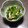 Nilmini's cooksnap of when they made つるむらさき＆しめじの お浸し(^^).