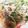 67luna's cooksnap of when they made めちゃ旨★冷凍いんげんとベーコンのパスタ.