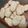 papikun's cooksnap of when they made 雪塩ちんすこう風.