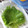 ﾋﾟﾛﾐ♡'s cooksnap of when they made これで長持ち大葉の保存❣.