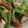 クック6DDPP8☆'s cooksnap of when they made 簡単★ササッと　ささげ豆の炒め煮.