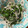クックMVXCM0☆'s cooksnap of when they made 簡単♪えのきとピーマンの甘辛しょうゆ炒め.