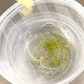 ♡マッキークッキング's cooksnap of when they made 冷製・すだち塩ラーメン.