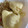 クック49L4Ho☆'s cooksnap of when they made ミルクアイス（アイスメーカー使用）.
