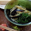 ひっこ's cooksnap of when they made 簡単！！なすとおろしの冷しうどん.