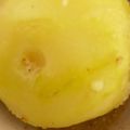 ♡ほこ♡'s cooksnap of when they made 蒸し新じゃがのスゴだれがけ.