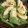 葉月優希's cooksnap of when they made 白バルサミコと桃とほうれん草のサラダ.