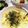 クックE662AA☆'s cooksnap of when they made これ手作り？！絶品簡単！卵サラダ.