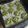 クック19SQ43☆'s cooksnap of when they made お花型抹茶あんぱん.