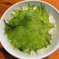 ayami953's cooksnap of when they made 大葉大量消費！パリパリチップス.