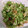 NEKOほっぺ's cooksnap of when they made きゅうりとみょうがの甘酢漬け.