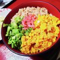 みきんたちゃん's cooksnap of when they made 三色そぼろ丼.