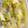 9ma9ma's cooksnap of when they made 白菜とこんにゃくのだし煮.
