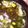 ふぁんころ's cooksnap of when they made 超簡単、もずくスープ.
