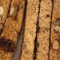 tsurikichi's cooksnap of when they made ザクザク食感♪オートミールビスコッティ.
