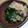 13歳's cooksnap of when they made 夏の旬野菜！モロヘイヤのお浸し.