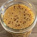 ★あやたん★'s cooksnap of when they made 手作り粒マスタード.