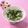 toraちゃん♪'s cooksnap of when they made めっちゃ簡単＆美味♪しらす丼☆.