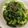 くうandホームズ's cooksnap of when they made ♫小松菜のおひたしand鯵の開き♪.