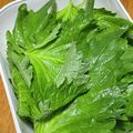 QPはにー's cooksnap of when they made 大葉の保存.
