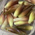 QPはにー's cooksnap of when they made 水で簡単☆シャキシャキみょうがの保存方法.