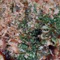 ぱわふるちゃん's cooksnap of when they made おひとり様分量！オートミールでお好み焼き.