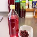 ぐんま３兄弟の母's cooksnap of when they made 自家製☆赤紫蘇ビネガー(酢).