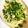 クックKXKWV4☆'s cooksnap of when they made しらすたっぷり爽やか冷製パスタ.