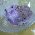 johnkunn's cooksnap of when they made ブルーベリーの☆ヨーグルトバニラアイス.